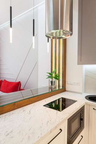 Апартаменты Apartment on Zamarstunivska 14 Львов Апартаменты с 1 спальней-5